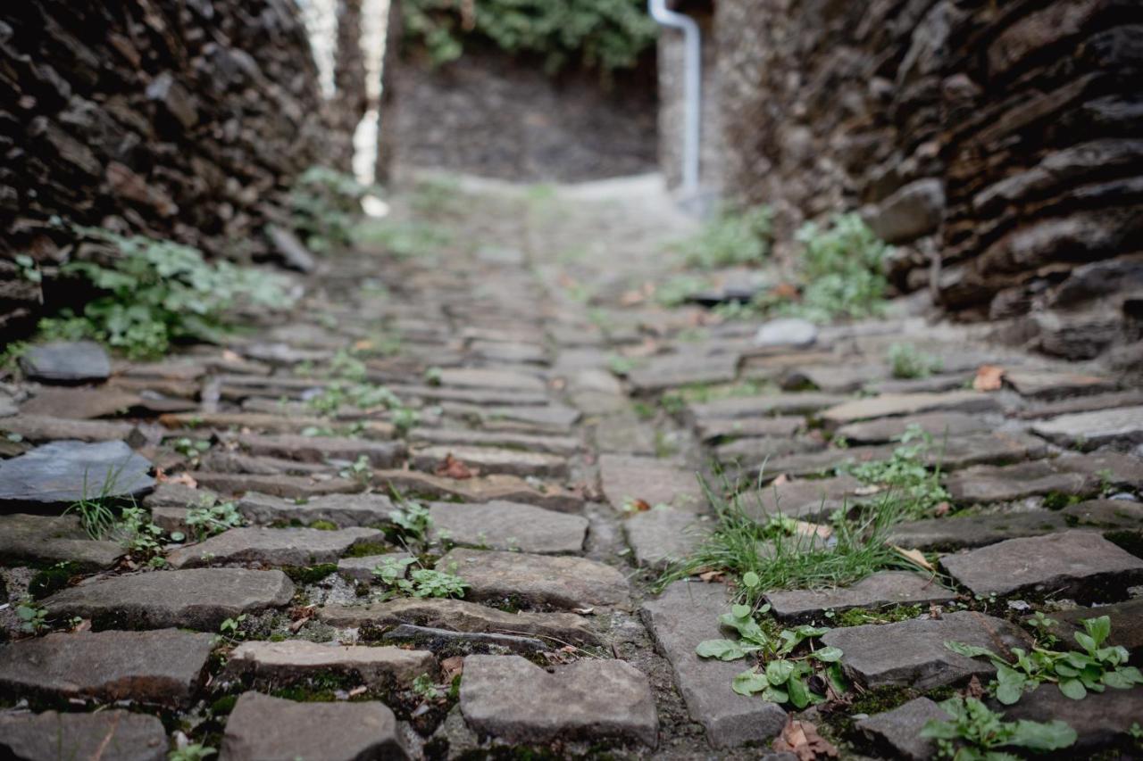El Xalet De La Vall De Cardos Lladros エクステリア 写真